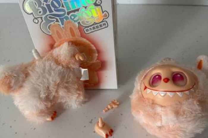 North Lanarkshire Council’s Trading Standards team warns parents of potentially dangerous, counterfeit versions of Labubu dolls